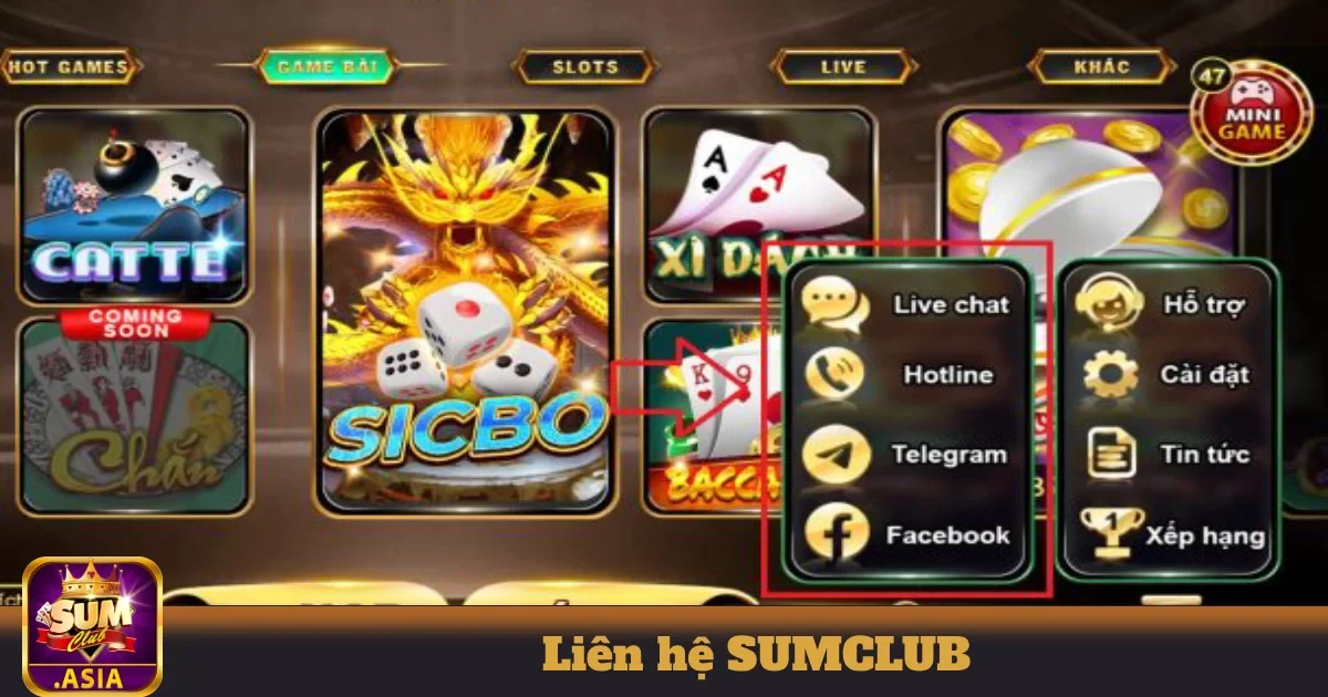 Live chat trực tiếp trên website