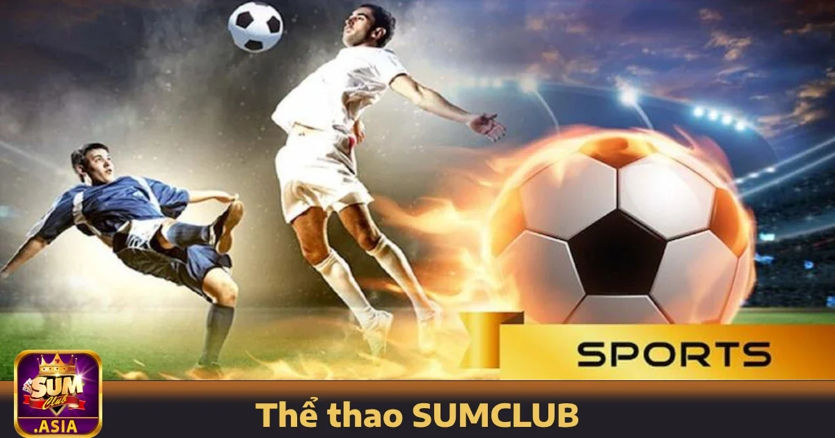 Thể thao SUMCLUB 2 Điểm mạnh của Thể thao SUMCLUB