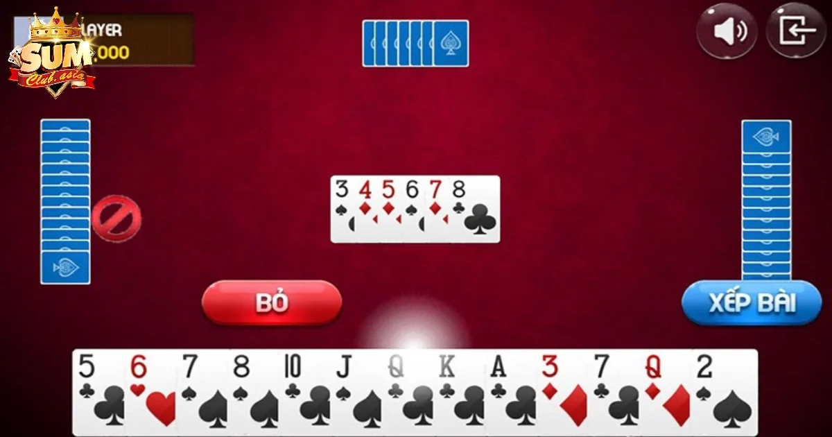 Bí kíp đánh bài siêu chuẩn để không bị thối heo